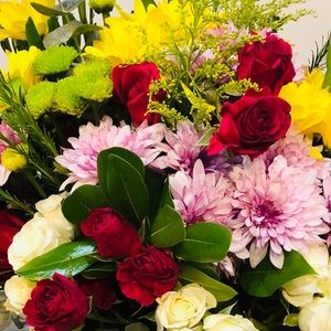 🌹BEAUTY IS ALL AROUND US🌹